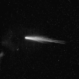 成人免费❌❌图片
